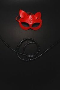 BDSM Mask and Whip